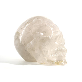 Life Size Skull U#31    from The Rock Space