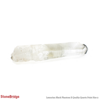 Lemurian Black Phantom Point #2    from Stonebridge Imports