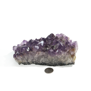 Amethyst Clusters #4 - 5" to 6"    from The Rock Space