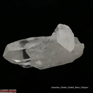 Lemurian Cluster U#1 - 5"    from The Rock Space