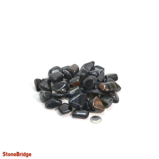 Tiger Eye Blue Tumbled Stones from The Rock Space