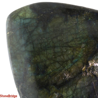 Labradorite Standing Slice Full Polished U#11 - 7"    from The Rock Space