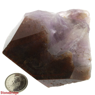 Super Seven Point #3 - 200g to 300g    from Stonebridge Imports