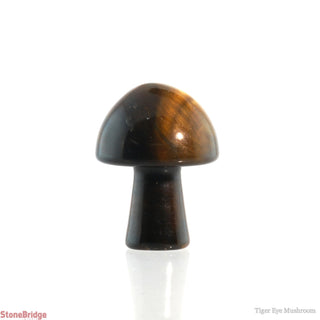 Tiger Eye Mushroom    from The Rock Space