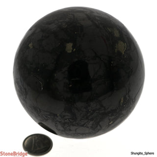 Shungite Sphere - Medium #2 - 2 3/4"    from The Rock Space