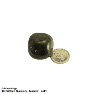 Nuummite Tumbled A - 3 Pack from The Rock Space