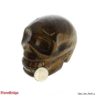 Tiger Eye Skull #5    from The Rock Space