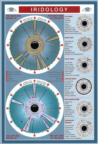 QuickStudy Guide - Iridology    from The Rock Space