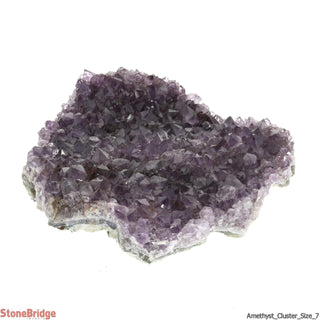 Amethyst Clusters #8 - 8" to 9"