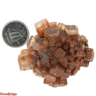 Aragonite Sputnik Cluster #3    from The Rock Space