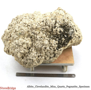 Albite Crystal Specimen U#6 - 20"    from Stonebridge Imports
