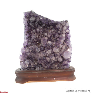 Amethyst On Wood Base #5    from The Rock Space