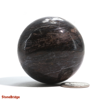 Bronzite Sphere - Extra Small #3 - 2"    from The Rock Space