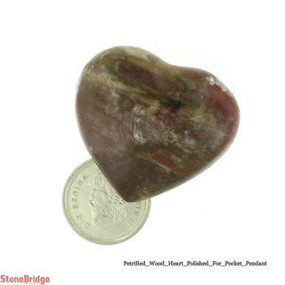 Petrified Wood Heart Carving # 1 - 1" to 1 1/2"    from Stonebridge Imports