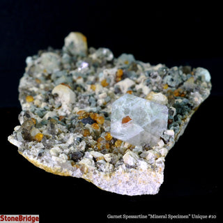 Garnet Spessartine Cluster U#10    from The Rock Space