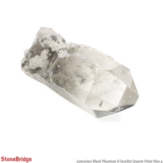 Lemurian Black Phantom Point #4    from Stonebridge Imports