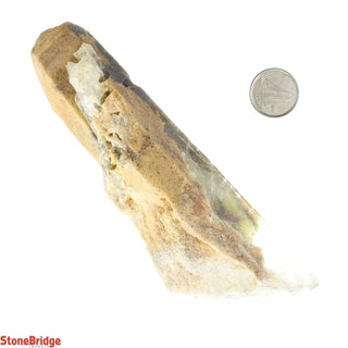 Clear Quartz Inclusion Points #3 - 200g to 399g    from Stonebridge Imports