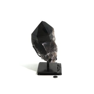 Smoky Quartz Cluster on Iron Stand U#38    from The Rock Space