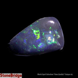 Black Opal Cabochon Gem Quality U#5 - 2ct    from The Rock Space