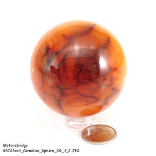 Carnelian Sphere - Extra Small #4 - 2"    from The Rock Space