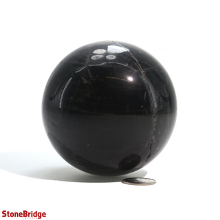 Smoky Quartz Dark Sphere - Medium #3 - 2 3/4"    from The Rock Space