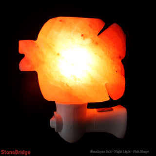 Himalayan Salt Night Light - Fish from The Rock Space