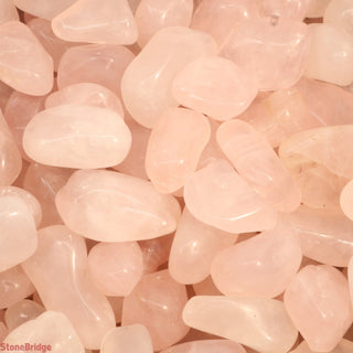 Rose Quartz E Tumbled Stones - Brazil from The Rock Space