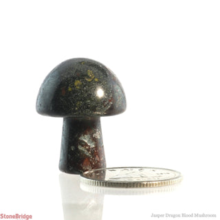 Jasper Dragon Blood Mushroom from The Rock Space