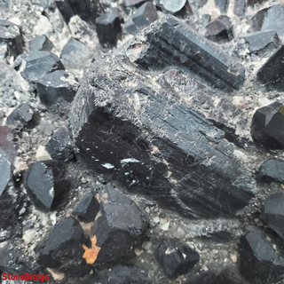 Black Tourmaline Cluster U#1 from The Rock Space