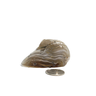 Enhydro Agate Geodes - 2 1/2" from The Rock Space