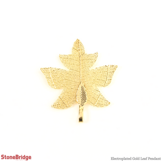 Electroplated Jewelry Leaves - Type #14 - Gold from The Rock Space