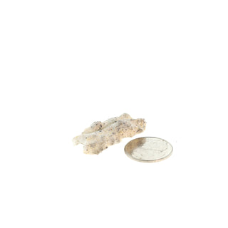Fulgurite Petrified Lightning #1 - 1" to 2" from The Rock Space