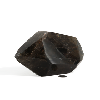 Smoky Quartz (dark) Double Terminated Point U#1 - 7" x 3 3/4" from The Rock Space