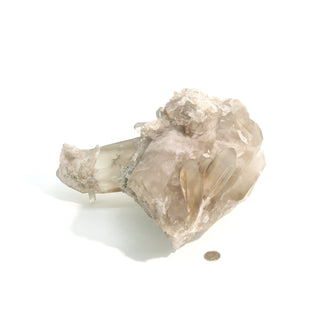 Smoky Quartz Cluster U#6 from The Rock Space