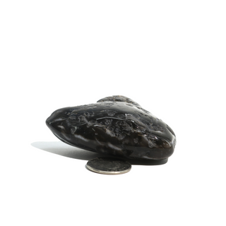 Enhydro Agate Geodes - 2 1/2" from The Rock Space
