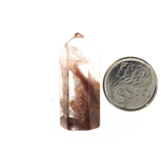 Amphibolite Red Mini Generator from The Rock Space