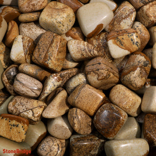 Picture Jasper Tumbled Stones from The Rock Space