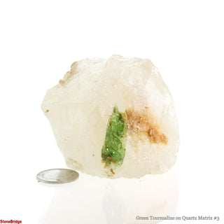 Green Tourmaline on Quartz Matrix #3 from The Rock Space
