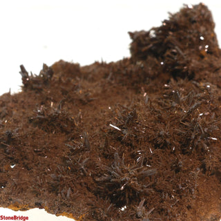 Descloizite Mineral Specimen U#8 - 3" from The Rock Space