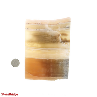 Calcite Honey Slices #4 from The Rock Space
