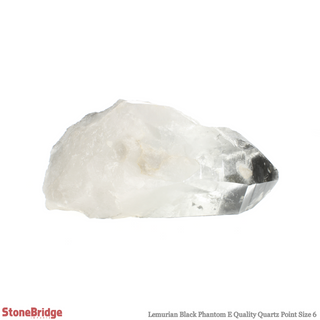 Lemurian Black Phantom Point #6 from The Rock Space