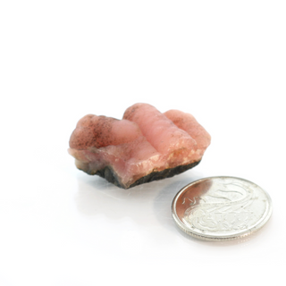 Rhodochrosite Stalactite Specimen from The Rock Space