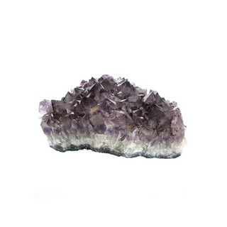 Amethyst Cluster U#33 - 7 3/4" from The Rock Space