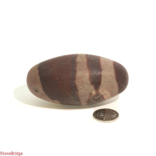 Narmada Shiva Lingam Egg #3 from The Rock Space