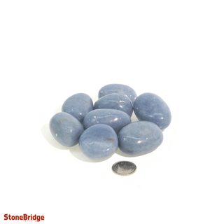 Angelite Tumbled Stones from The Rock Space