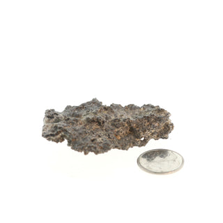 Fulgurite Petrified Lightning #4 - 2" to 3" from The Rock Space