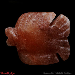 Himalayan Salt Night Light - Fish from The Rock Space