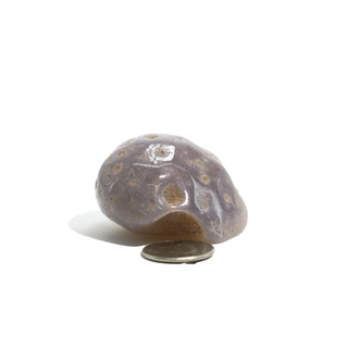 Enhydro Agate Geodes - 2" from The Rock Space