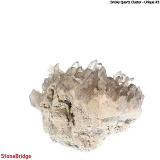 Smoky Quartz Cluster U#3 from The Rock Space