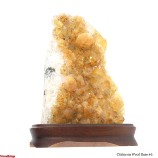 Citrine Cluster on Wood Base #6 - 10" from The Rock Space